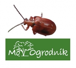 Ankieta portalu Mój Ogrodnik